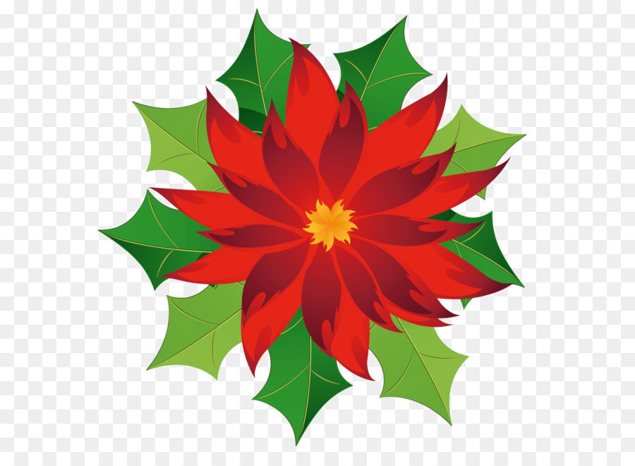 Poinsettia Clip art - Christmas Poinsettia Clipart png download - 1807*1788 - Free Transparent Poinsettia png Download.
