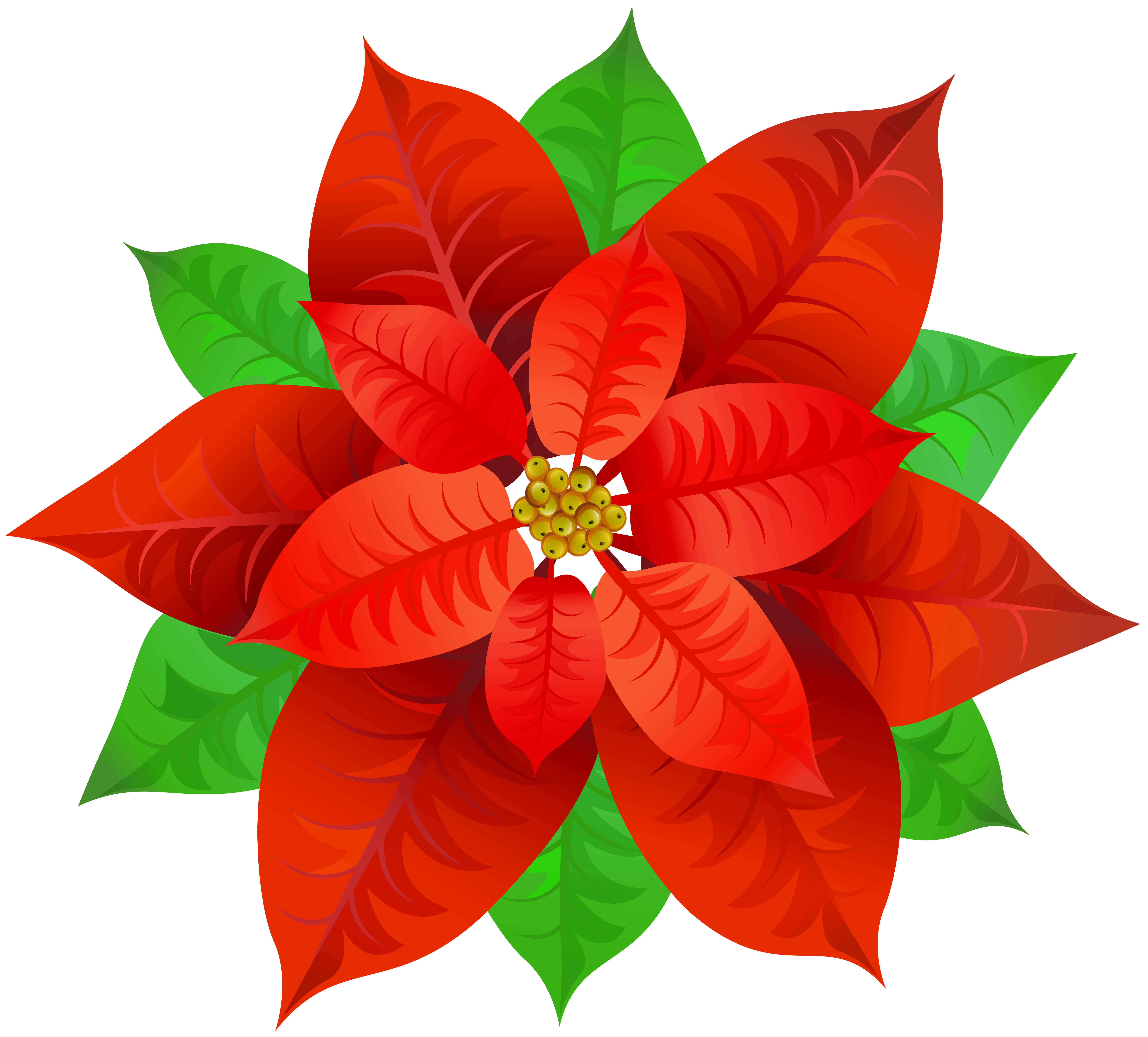 Poinsettia Transparent Background #1547717 (License: Personal Use) .