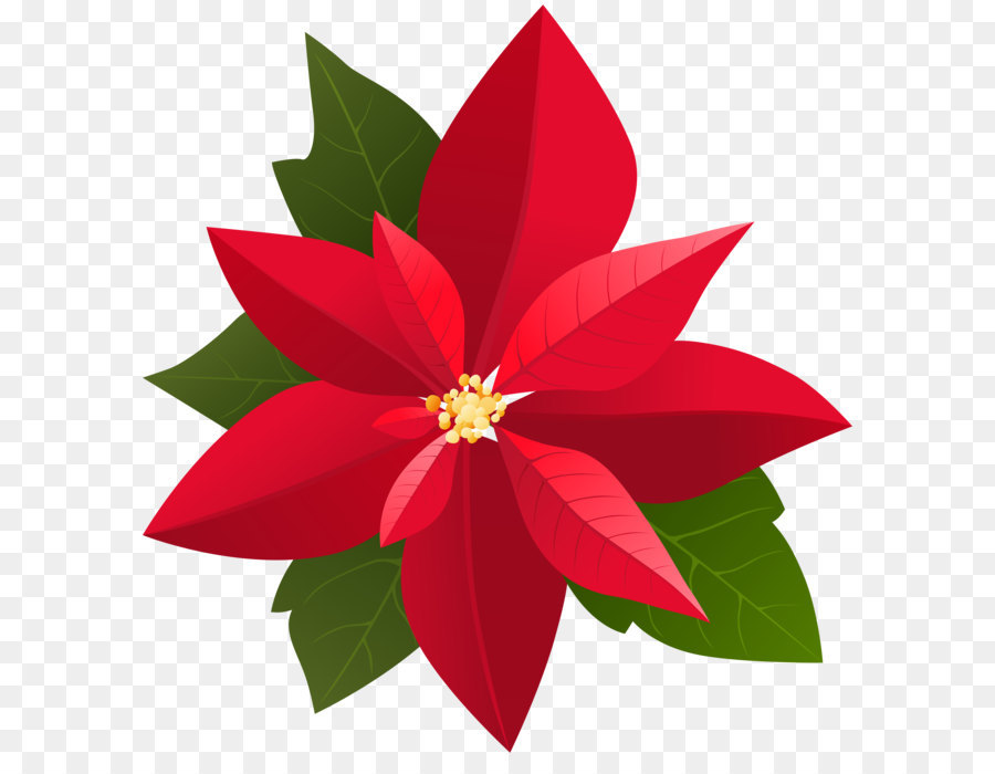 2018 Chrysler Pacifica Hybrid Christmas Befana Clip art - Christmas Poinsettia PNG Clip Art png download - 7586*8000 - Free Transparent Poinsettia png Download.