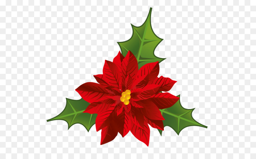 Poinsettia Flower Christmas Clip art - flower png download - 600*541 - Free Transparent Poinsettia png Download.