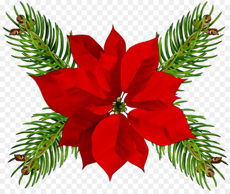 Poinsettia Christmas Day Christmas ornament Portable Network Graphics Christmas Eve -  png download - 1263*1053 - Free Transparent Poinsettia png Download.