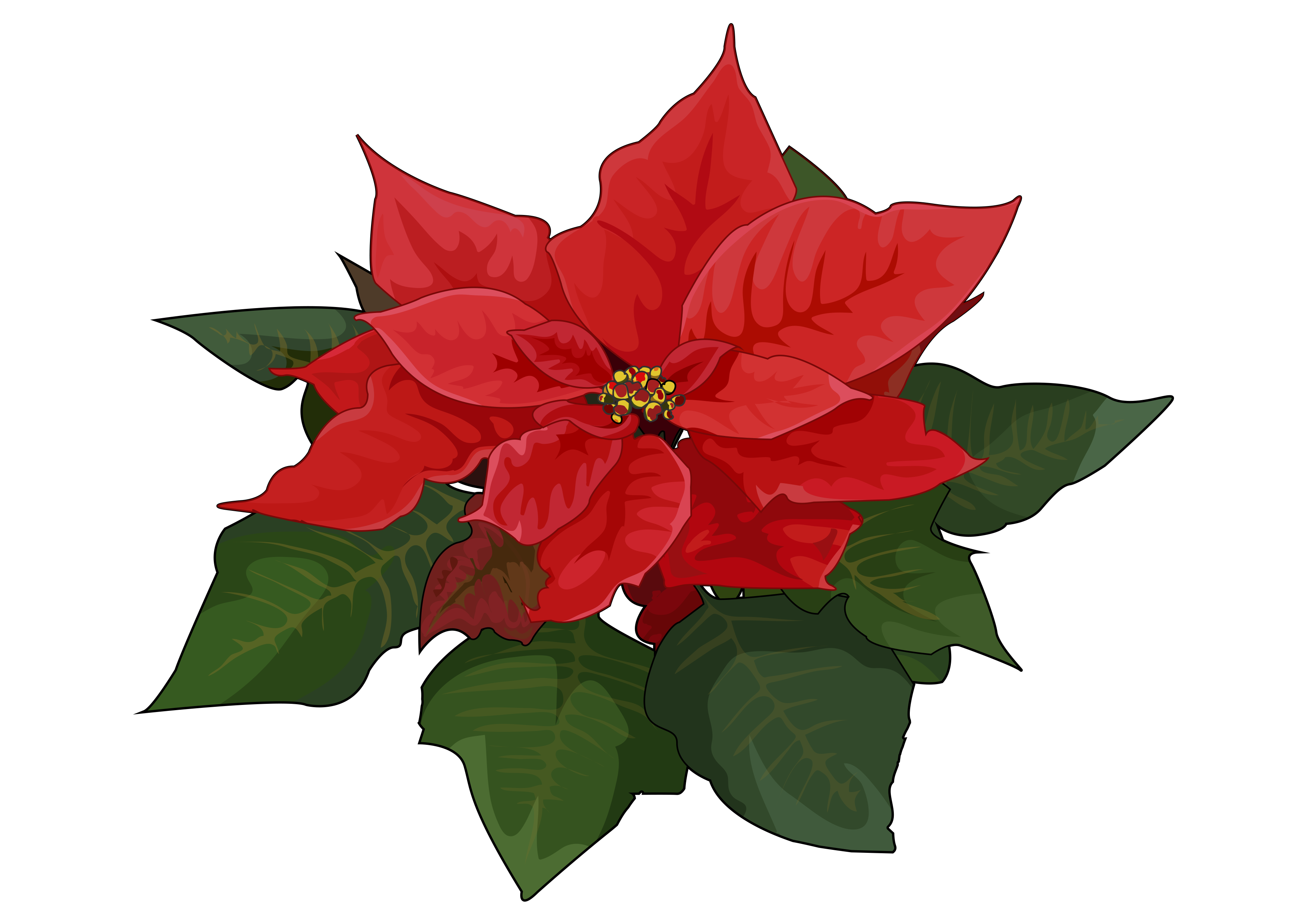 Christmas Plants Png Free Logo Image