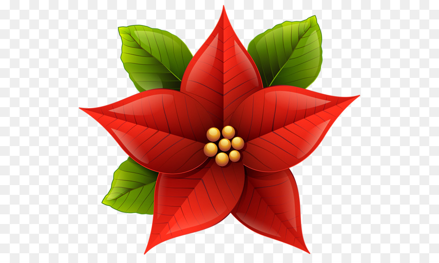 Poinsettia Christmas Clip art - christmas flowers png download - 600*533 - Free Transparent Poinsettia png Download.