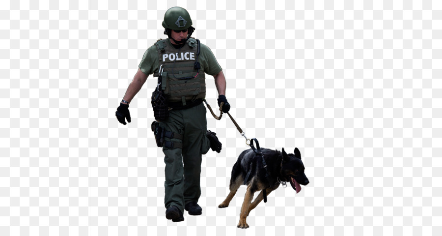 Police dog Dog breed Leash - attack police png download - 640*480 - Free Transparent Police Dog png Download.