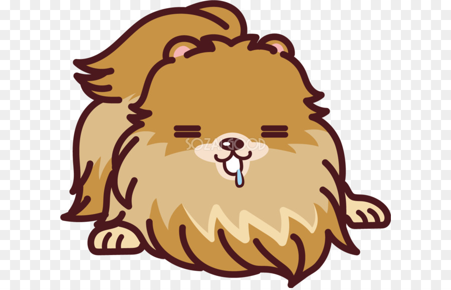 Pomeranian Shiba Inu Snout Clip art - good png download - 660*576 - Free Transparent Pomeranian png Download.