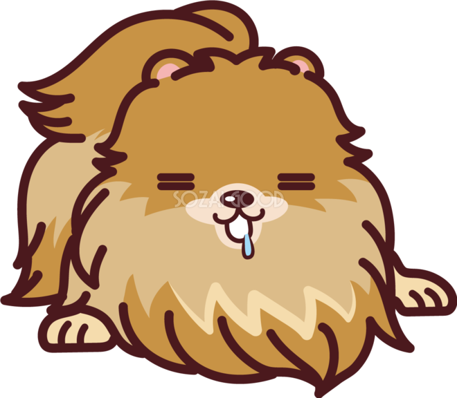 Pomeranian Shiba Inu Snout Clip art - good png download - 660*576