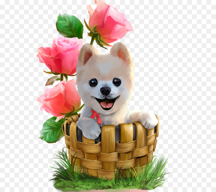 Pomeranian Finnish Spitz French Bulldog Puppy Kitten - Hand-painted puppy png download - 596*800 - Free Transparent Pomeranian png Download.