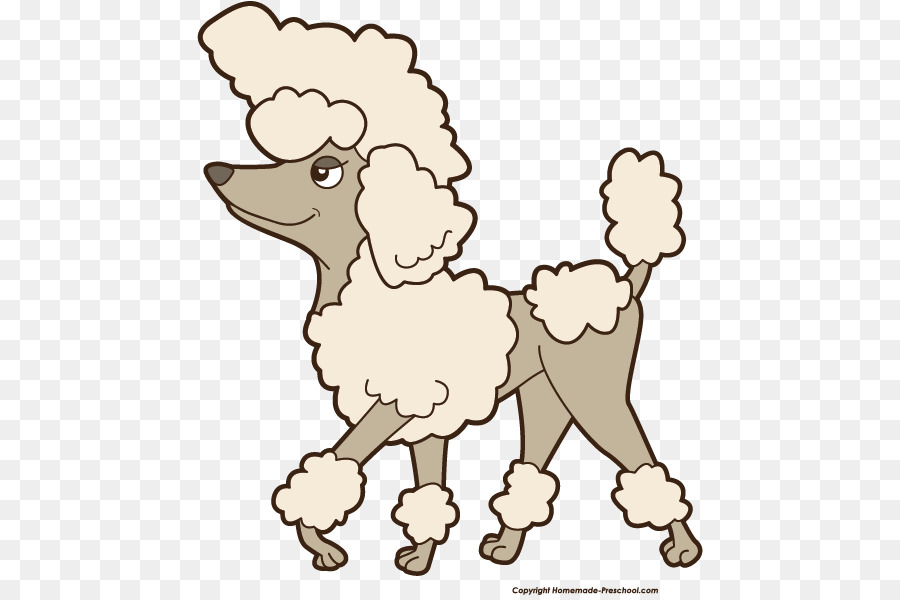 Toy Poodle Your puppy Clip art - Poodle Cliparts Word png download - 506*595 - Free Transparent Poodle png Download.