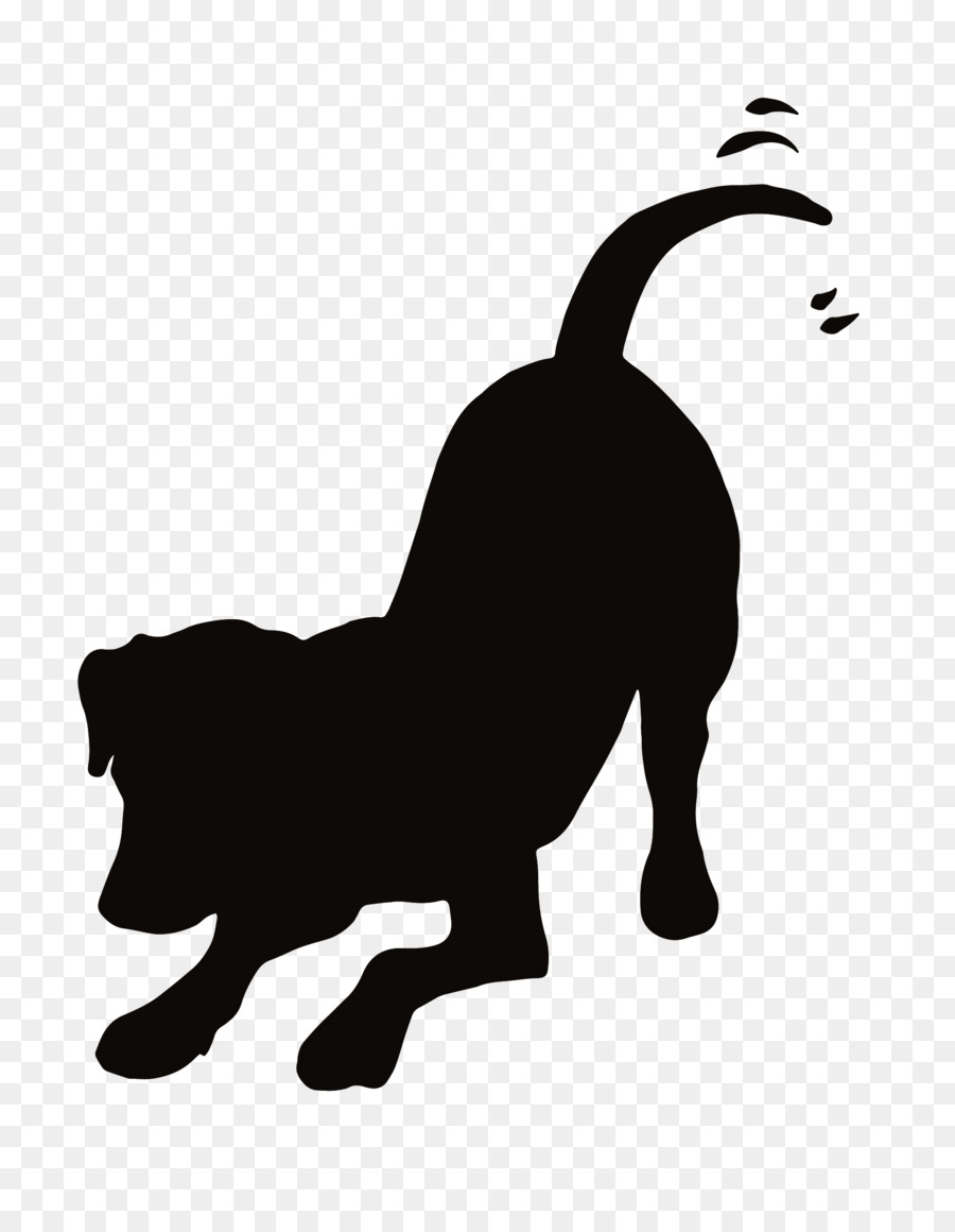 Cat Dachshund Kitten Clip art Puppy - cat png download - 1932*2480 - Free Transparent Cat png Download.