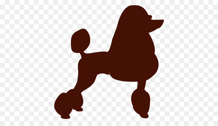 Miniature Poodle Toy Poodle Puppy Standard Poodle - puppy png download - 512*512 - Free Transparent Poodle png Download.