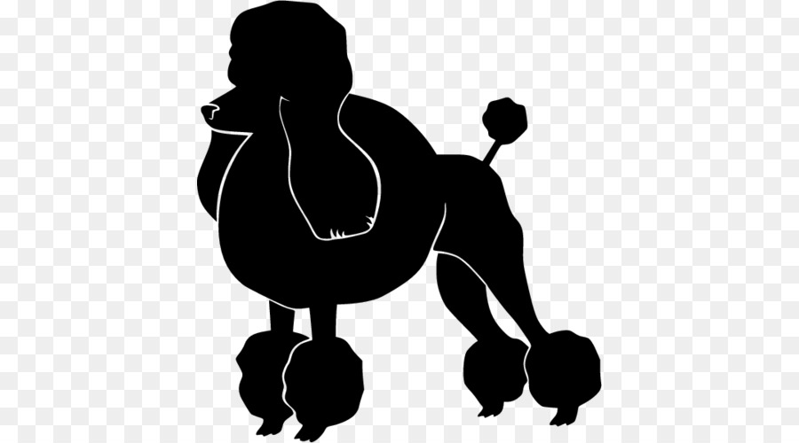 Standard Poodle The Poodle Silhouette Clip art - Silhouette png download - 500*500 - Free Transparent Poodle png Download.
