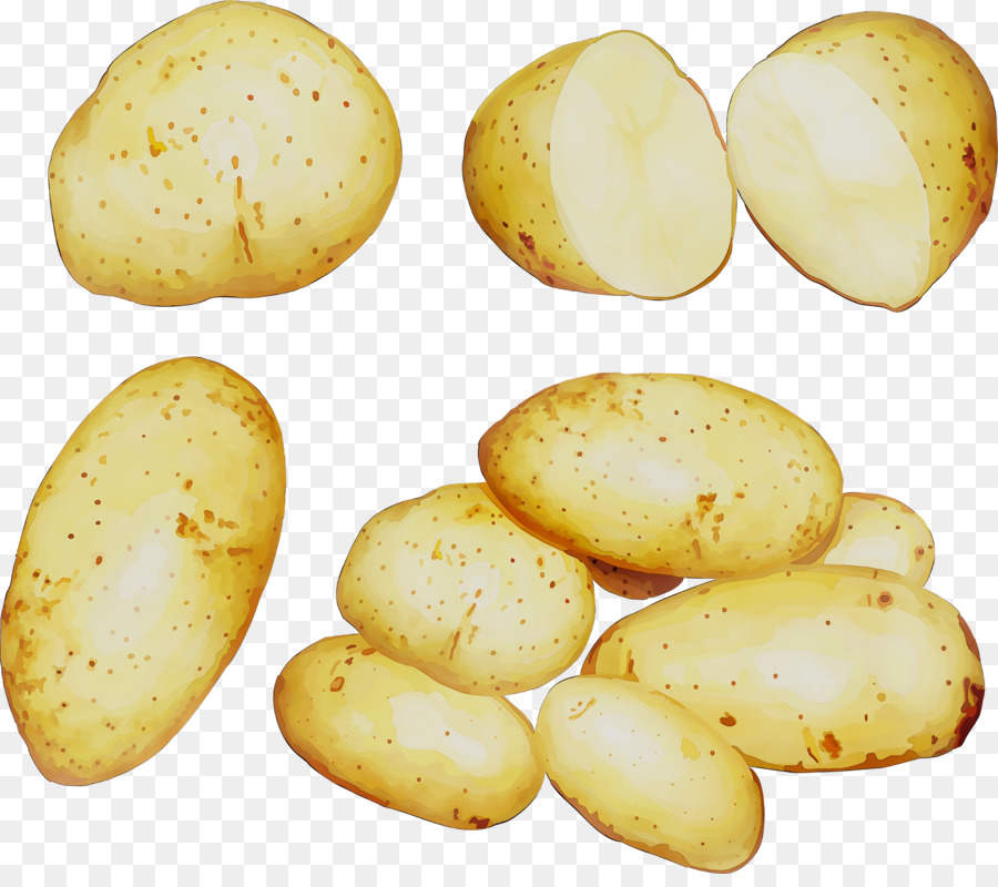 Russet burbank potato Yukon Gold potato -  png download - 4069*3561 - Free Transparent Russet Burbank Potato png Download.
