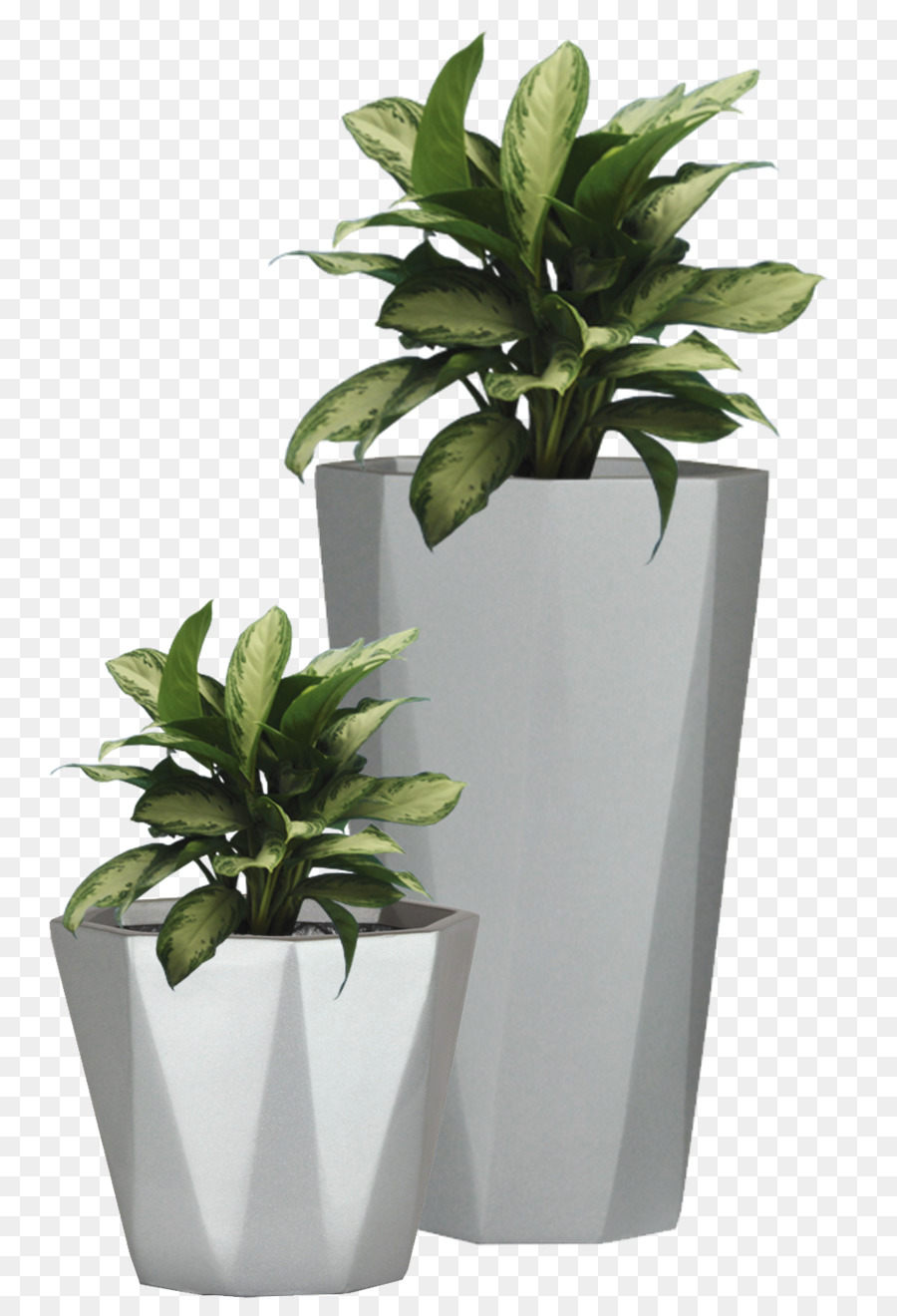 Flowerpot Etsy Wall decal Succulent plant - Potted Plant Png Pictures png download - 813*1307 - Free Transparent Flowerpot png Download.