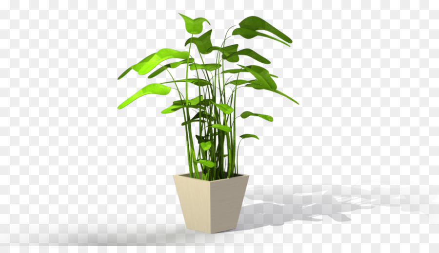 Houseplant Flowerpot Tree - potted plant png download - 960*540 - Free Transparent Plant png Download.