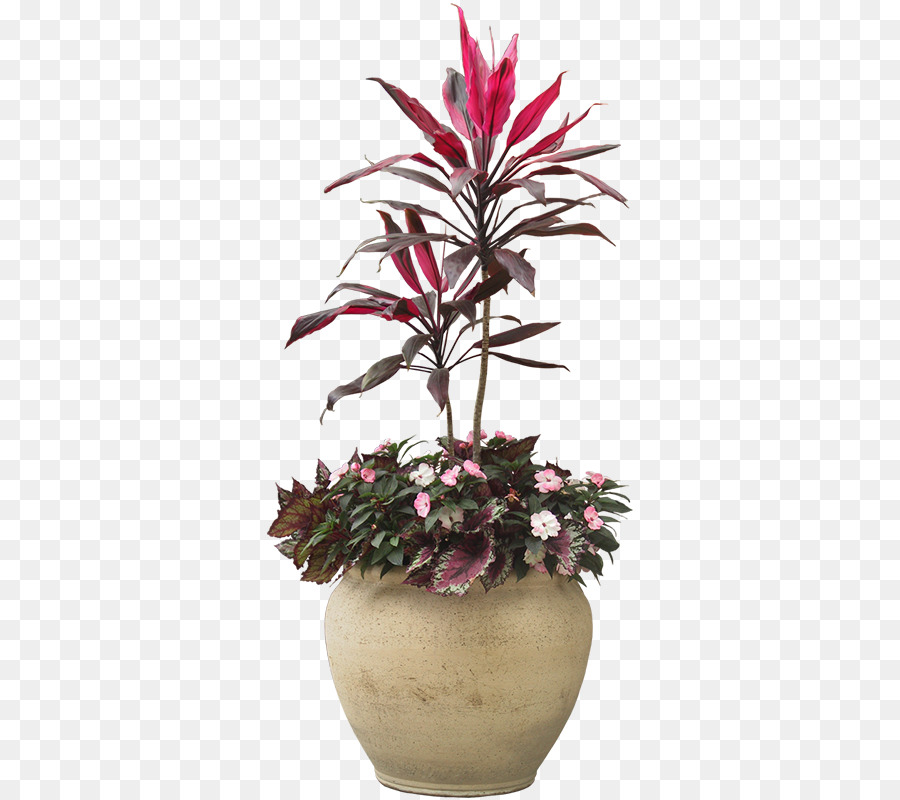 Houseplant Flowerpot - Indoor plant potted plants png download - 800*800 - Free Transparent Houseplant png Download.