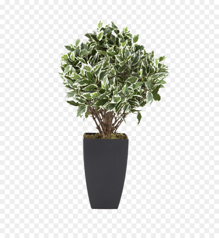 Flowerpot Houseplant Euclidean vector Tree - Potted plants png download - 749*1123 - Free Transparent Plant png Download.
