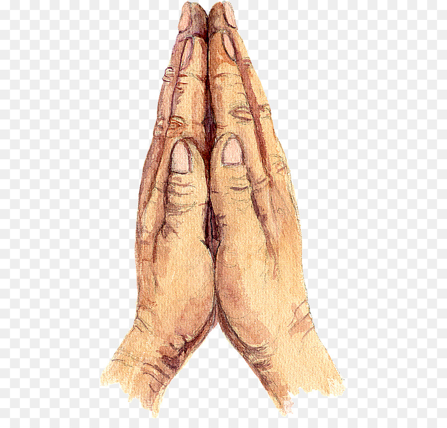 Praying Hands Prayer - check hand png download - 499*842 - Free Transparent  png Download.