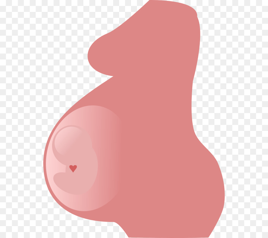 Pregnancy Mother Woman Clip art - pregnancy png download - 800*800 - Free Transparent  png Download.