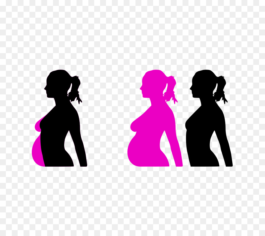 Pregnancy Silhouette Clip art - Silhouette Of Pregnant Woman Clipart png download - 800*800 - Free Transparent  png Download.