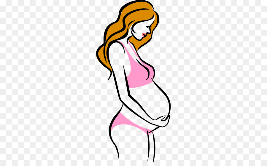 Pregnancy Woman Childbirth u5b55u5987 - Cartoon pregnant women vector material png download - 253*550 - Free Transparent Pregnancy png Download.