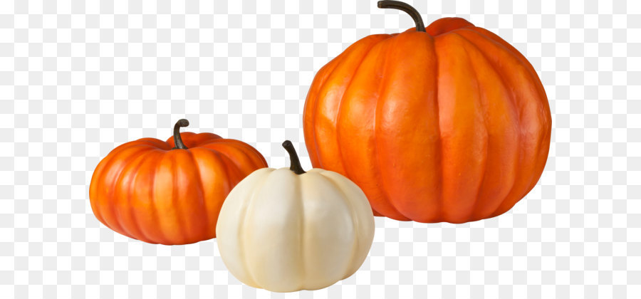 Pumpkin pie Zucchini Vegetable - Pumpkin PNG image png download - 3532*2233 - Free Transparent Pumpkin png Download.