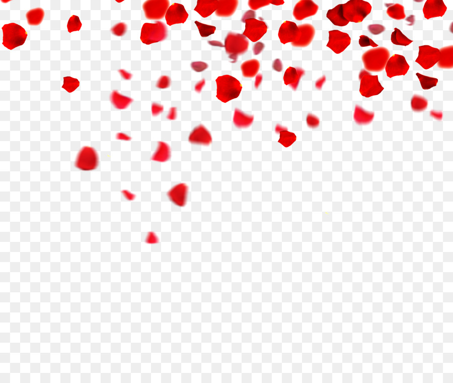 Petal If(we) Download - Rose petals floating material png download - 5629*4666 - Free Transparent  png Download.