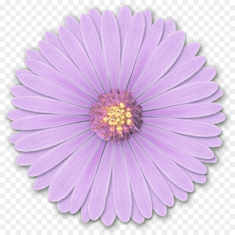 Light Flower Desktop Wallpaper Purple - Res Light Purple Flowers Png By Hanabell1 D6l6mwr Png png download - 1500*1500 - Free Transparent  png Download.