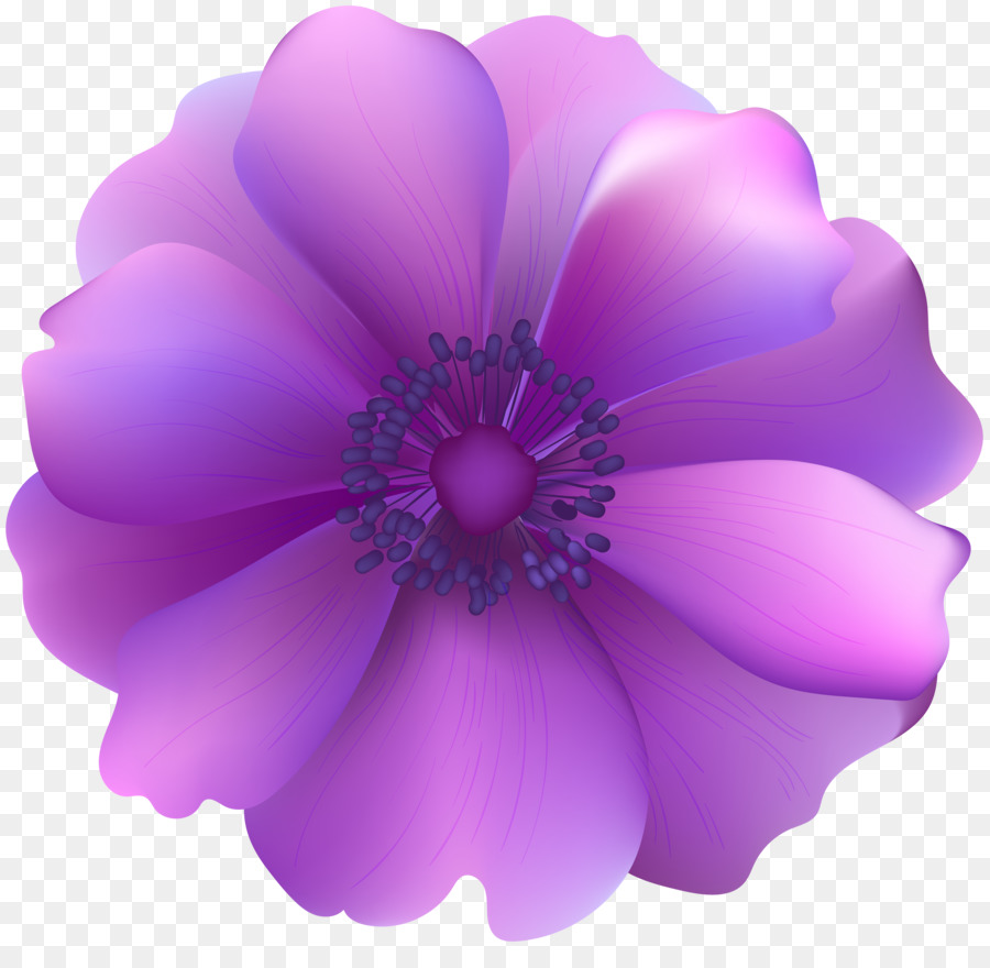 Purple Flower Clip art - crocus png download - 1280*900 - Free