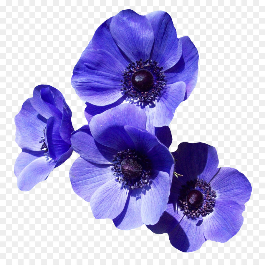 Flower Purple Clip art - Purple Flower png download - 1200*1195 - Free Transparent Flower png Download.