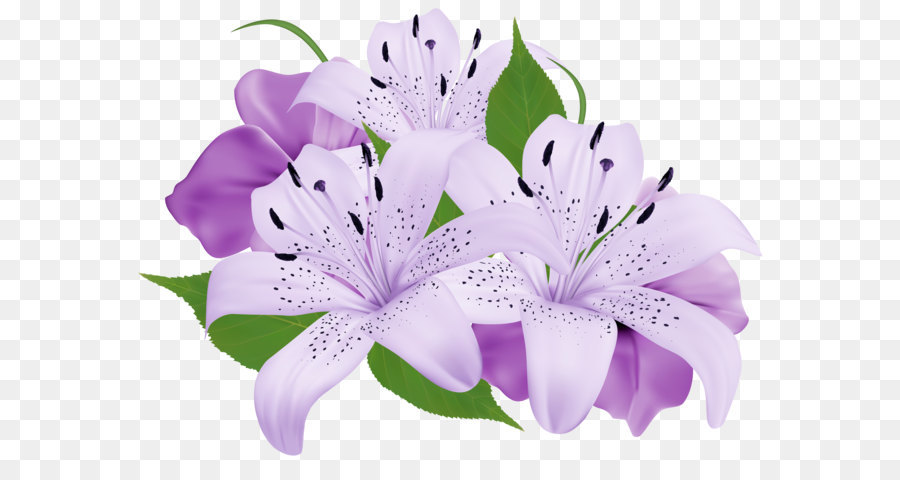 Flower Purple Clip art - Purple Exotic Flowers PNG Clipart Image png download - 6278*4485 - Free Transparent Flower png Download.