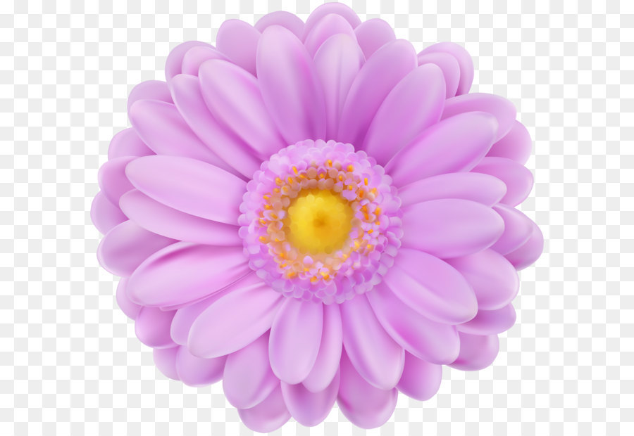Purple Flower - Soft Purple Flower Transparent PNG Clip Art png download - 5000*4762 - Free Transparent Flower png Download.