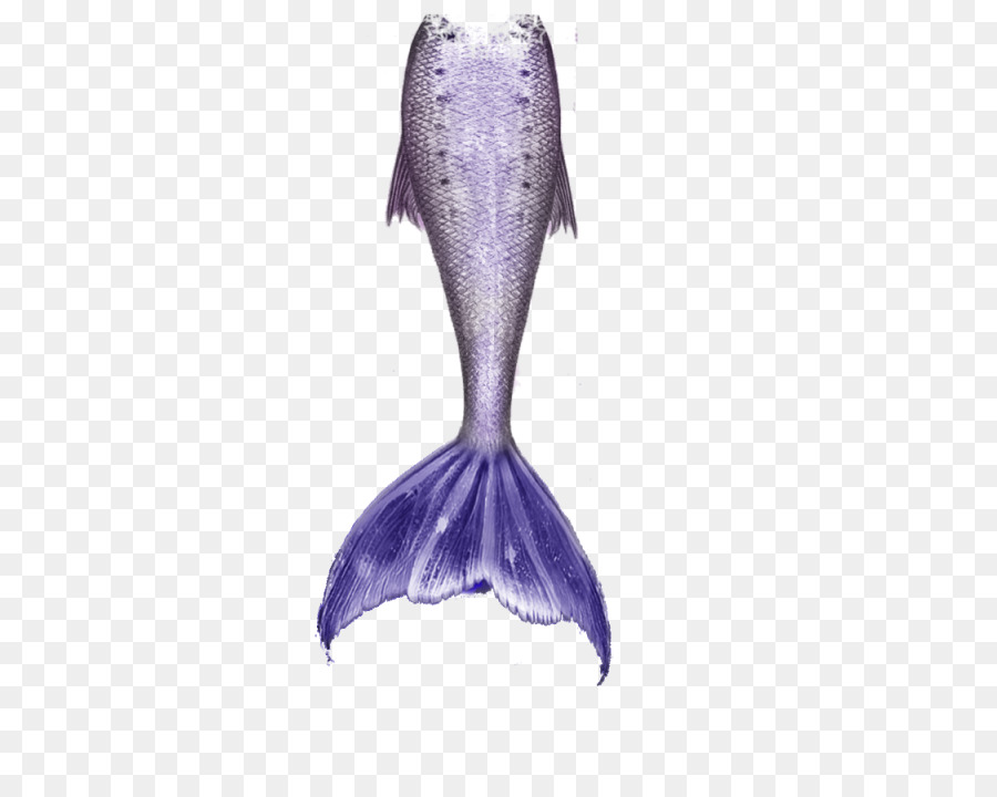 Portable Network Graphics Mermaid Clip art Image Drawing - mermaid tail png download png download - 400*720 - Free Transparent Mermaid png Download.