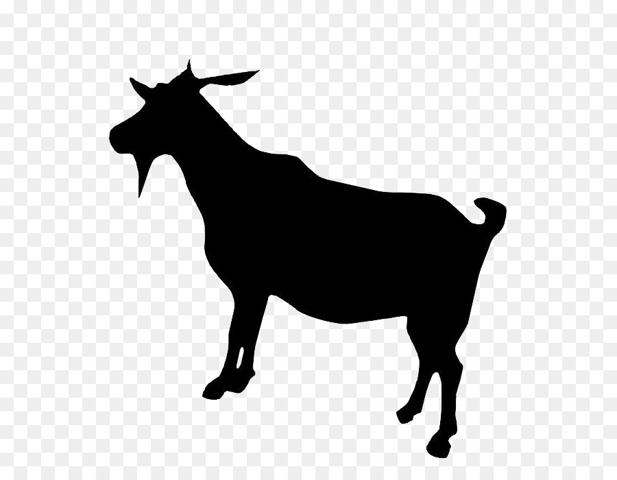 Boer goat Dorper Cattle - goat png download - 700*700 - Free Transparent Boer Goat png Download.