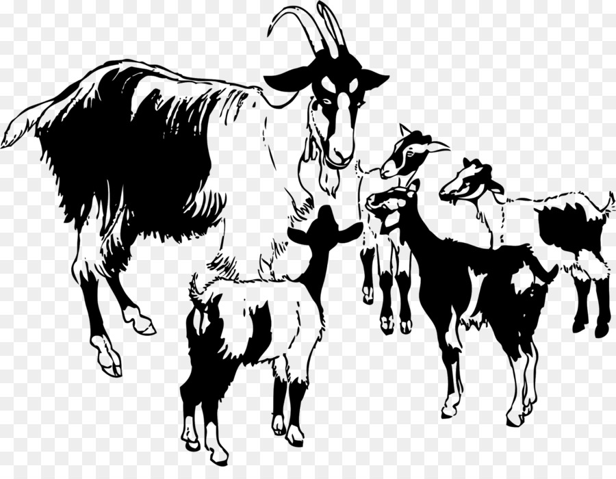 Boer goat Pygmy goat Goat meat Clip art - goat clipart png download - 1600*1213 - Free Transparent Boer Goat png Download.
