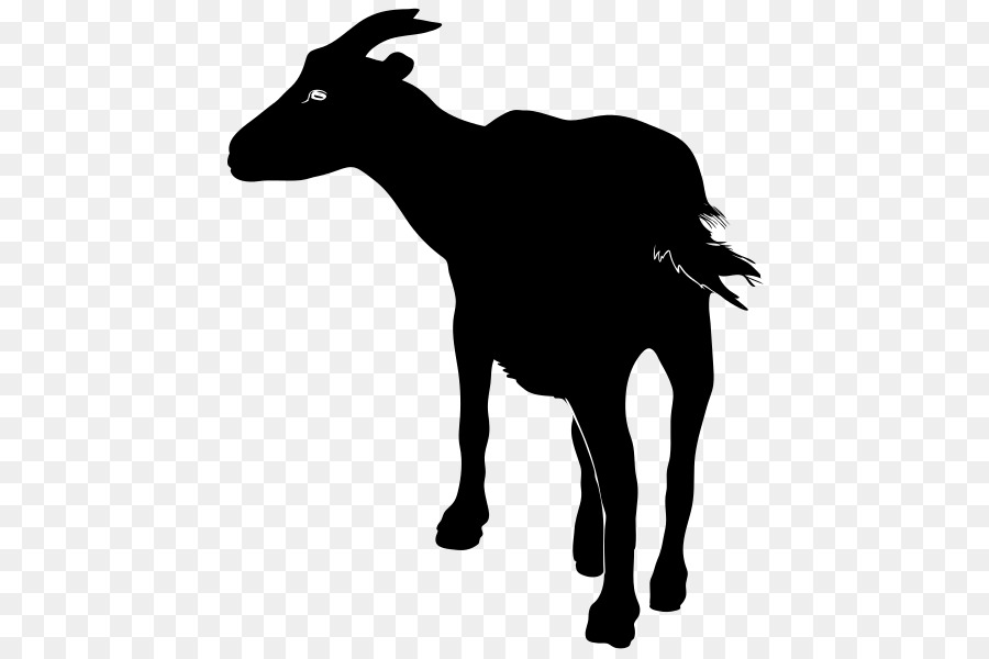 Anglo-Nubian goat Boer goat Nigerian Dwarf goat Pygmy goat - goat png download - 506*599 - Free Transparent Anglonubian Goat png Download.