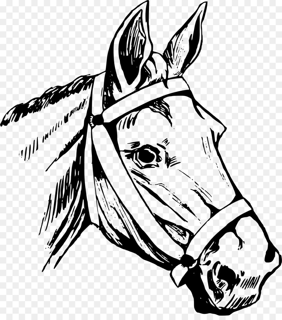 Horse head mask American Quarter Horse Clip art - horse riding png download - 2148*2400 - Free Transparent Horse Head Mask png Download.
