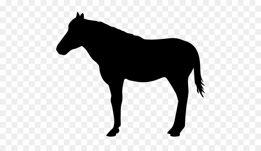 American Quarter Horse Silhouette Drawing Clip art - Standing Horse png download - 512*512 - Free Transparent American Quarter Horse png Download.