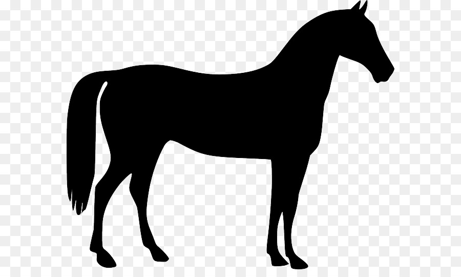 Mustang American Quarter Horse Stallion Pony - soldier silhouette png download - 640*525 - Free Transparent Mustang png Download.