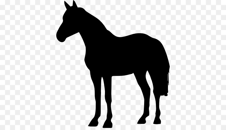 Arabian horse American Quarter Horse Black Forest Horse Friesian horse American Paint Horse - Silhouette png download - 512*512 - Free Transparent Arabian Horse png Download.