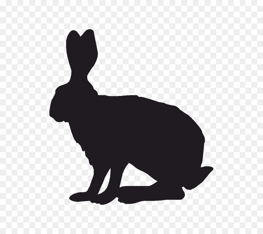 Domestic rabbit Indian hare Silhouette Clip art - rabbit png download - 800*800 - Free Transparent Domestic Rabbit png Download.