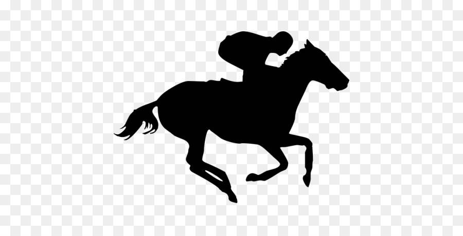 Thoroughbred Daily News Horse racing Jockey Clip art - others png download - 458*458 - Free Transparent Thoroughbred png Download.