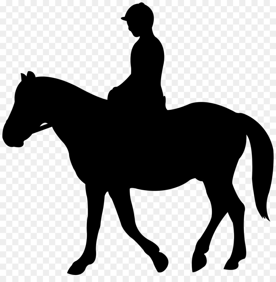 Horse Silhouette English riding Equestrian Jockey - sillhouette png download - 7954*8000 - Free Transparent Horse png Download.