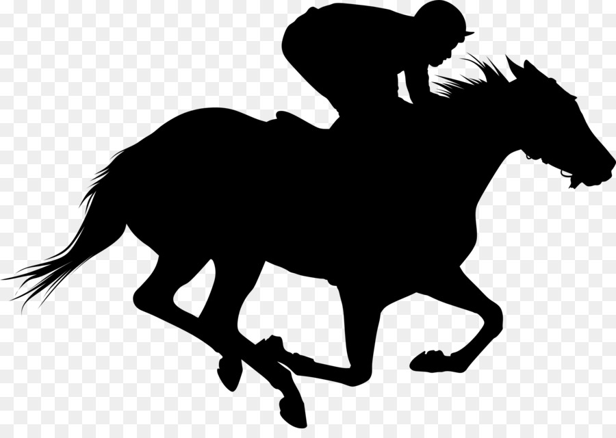 Thoroughbred The Kentucky Derby Horse racing Equestrian Clip art - others png download - 2400*1668 - Free Transparent Thoroughbred png Download.