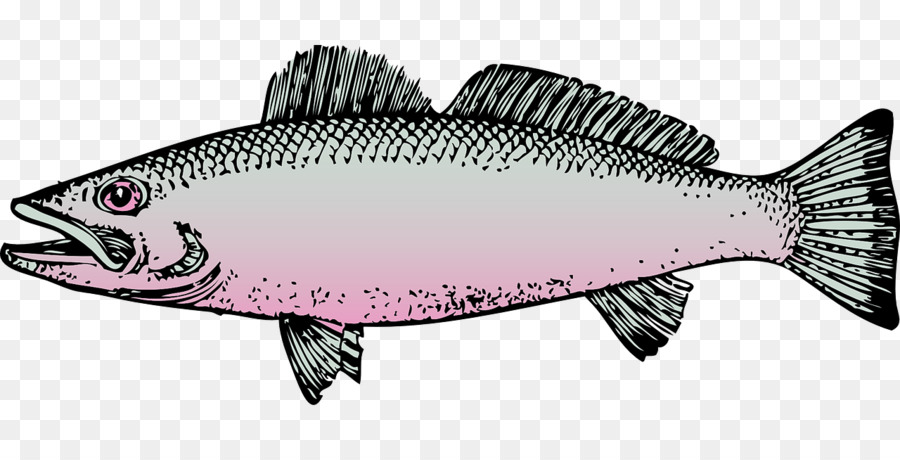 Clip art Fishing Rainbow trout - Fishing png download - 1280*640 - Free Transparent Fishing png Download.