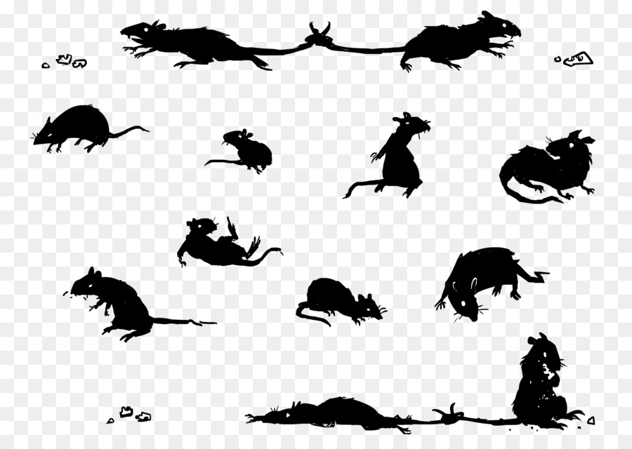 Drawing Art Rat - Rat & Mouse png download - 900*636 - Free Transparent Drawing png Download.