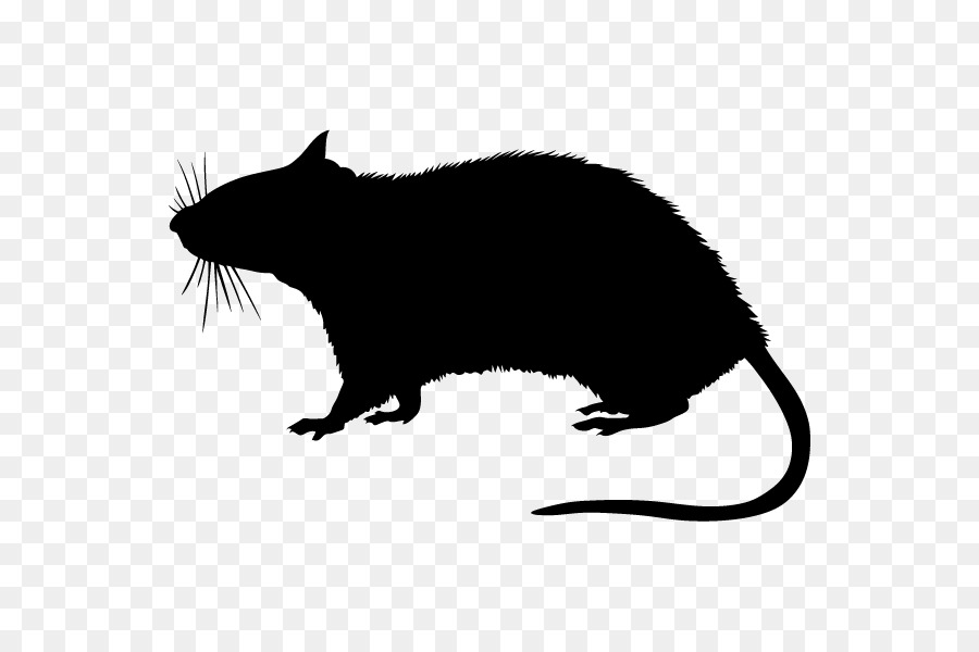 Rodent Stock photography Silhouette - Silhouette png download - 600*600 - Free Transparent Rodent png Download.