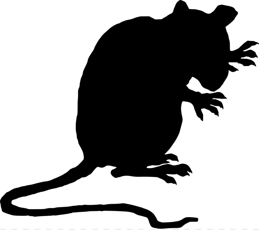 Brown rat Black rat Laboratory rat Mouse Clip art - Evil Rat Cliparts png download - 1261*1115 - Free Transparent Brown Rat png Download.