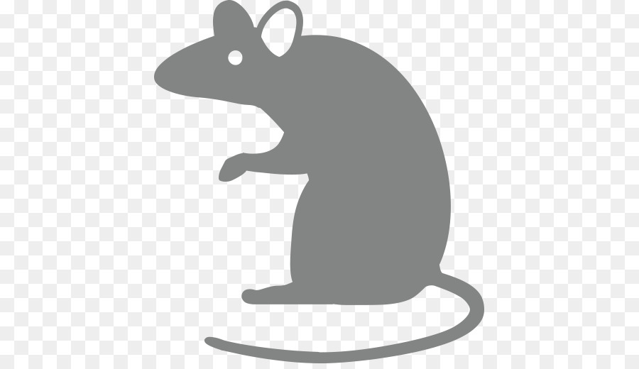Rat Paper Sticker Gift Zazzle - rat png download - 512*512 - Free Transparent Rat png Download.