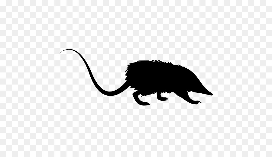 Rat Cat Mouse Computer Icons - Rat & Mouse png download - 512*512 - Free Transparent Rat png Download.