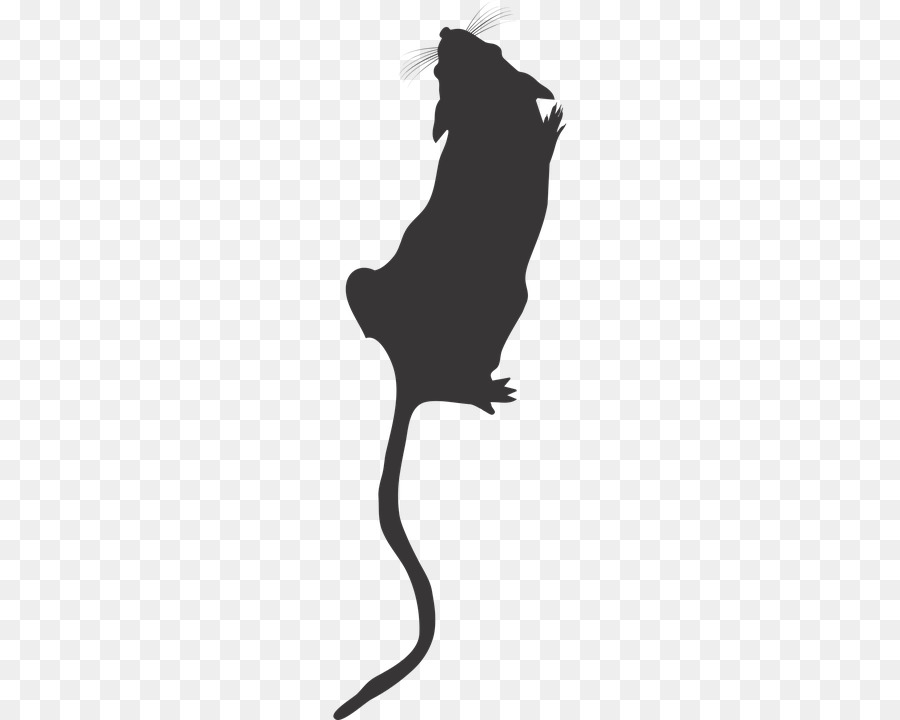 Cat Mouse Rat Rodent Clip art - Cat png download - 360*720 - Free Transparent Cat png Download.